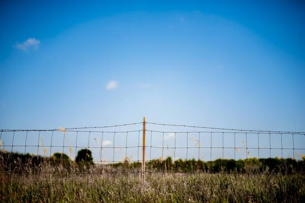 Een Grasveld Met Prikkeldraad Hek Een Helderblauwe Lucht Achtergrond — Stockfoto