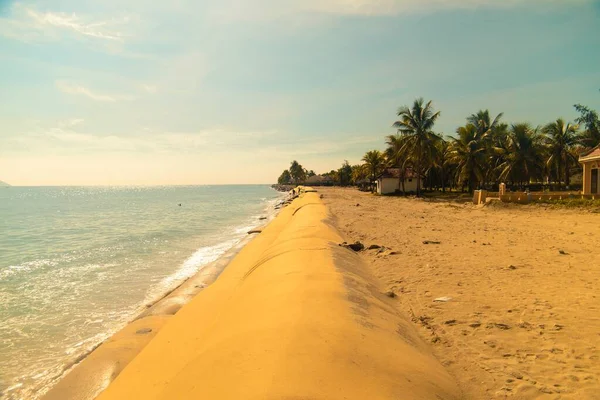 Фотография зеленых пальм на песчаном пляже у спокойного моря в дневное время — стоковое фото