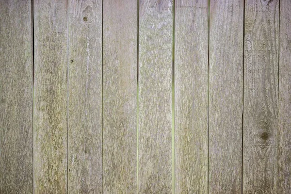 Closeup shot of a wooden fence - great fro background or a blog — Stock Photo, Image