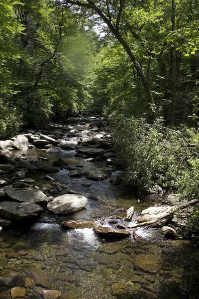 Plan vertical d'une belle rivière qui coule sur les rochers entourés d'arbres verts dans la forêt — Photo