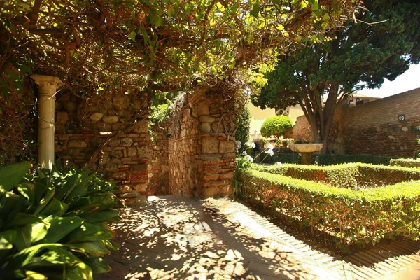 Hermoso jardín de escarcha en un día soleado en España, Málaga —  Fotos de Stock