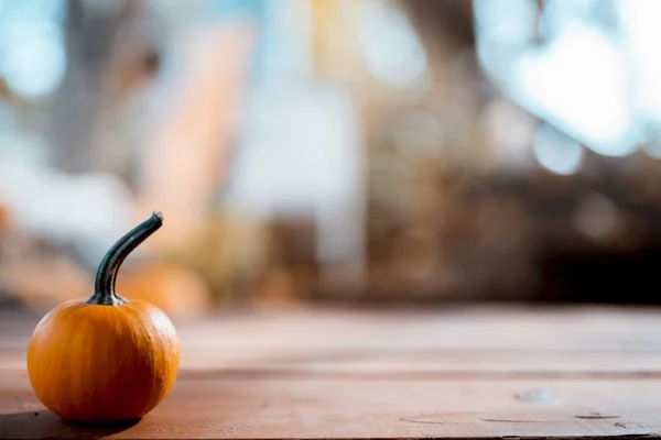 Primer plano de una pequeña calabaza naranja con un fondo borroso — Foto de Stock