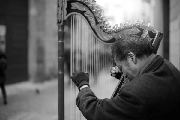 Bergamo Italy Feb 2019 People Things Animal Street — Stock Photo, Image