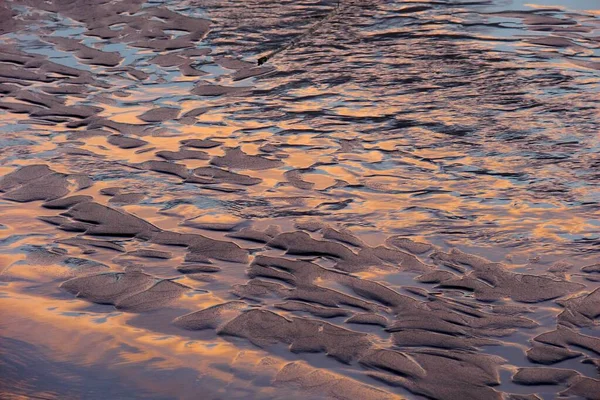 美しい夏の日に海岸の土壌の高角度ショット — ストック写真