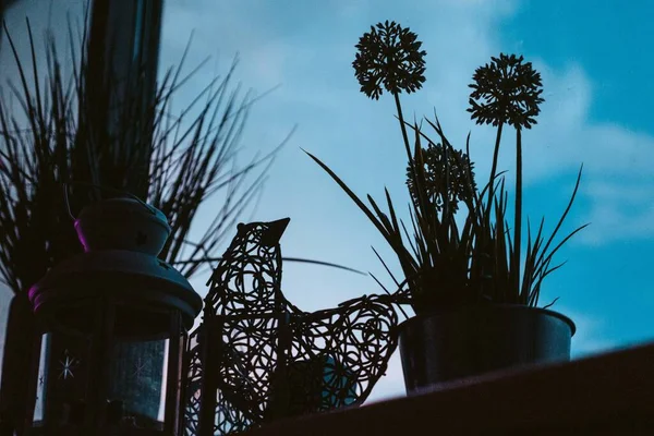 Plano Horizontal Accesorios Interiores Negros Con Cielo Oscuro Fondo — Foto de Stock