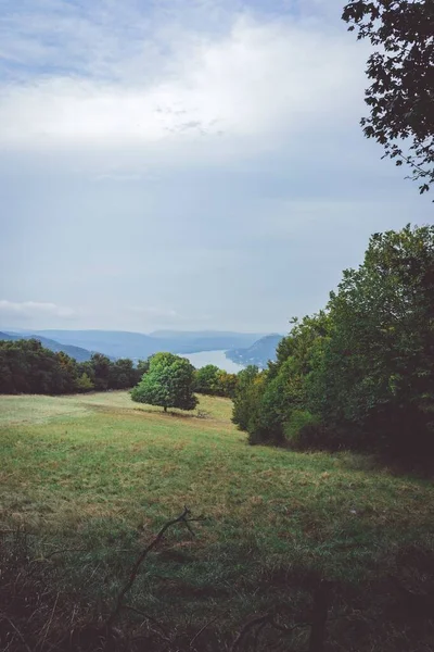Tiro vertical de um campo verde durante o tempo da tarde sob o céu nublado — Fotografia de Stock