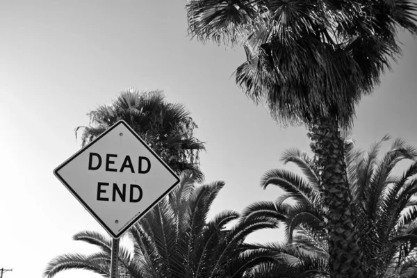 Gray scale shot of a dead end sign near palm trees — Stock Photo, Image