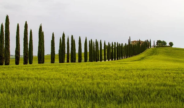 Beautiful shot of a country house in the middle of a field surrounded by hills under the clear sky — Stock Photo, Image