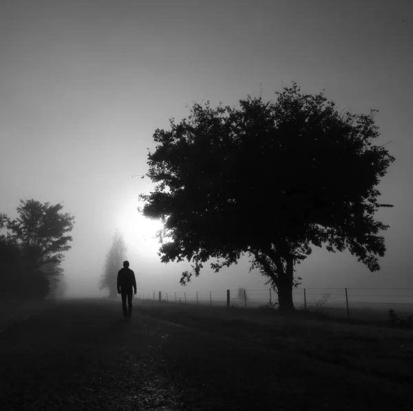 Mysterious greyscale shot of a male walking in a foggy scary field — Stock Photo, Image
