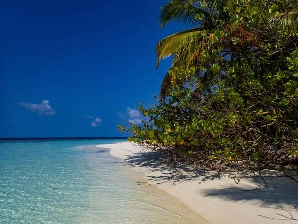 Όμορφη φωτογραφία μιας χαλαρωτικής παραλίας κάτω από τον καθαρό ουρανό στις Μαλδίβες — Φωτογραφία Αρχείου