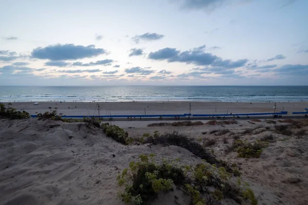 Belo tiro de uma praia com plantas crescendo na areia sob o céu nublado — Fotografia de Stock