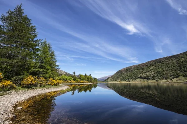 Czyste Niebieskie Jezioro Otoczone Lasami Górami Słoneczny Dzień Szkockich Górach — Zdjęcie stockowe