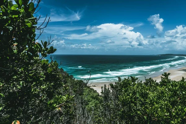 Bela paisagem de uma praia em frente a uma floresta sob o céu nublado — Fotografia de Stock