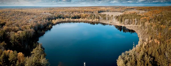 Uno Scatto Aereo Panoramico Uno Stagno Nel Mezzo Una Foresta — Foto Stock