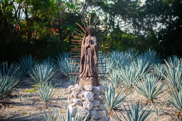 Hermosa estatua de María rodeada de plantas y árboles — Foto de Stock