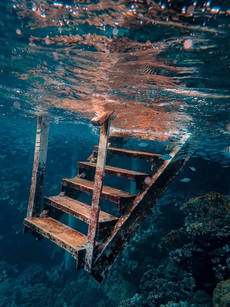 Denizin altındaki paslı metal merdivenin güzel dikey görüntüsü. — Stok fotoğraf