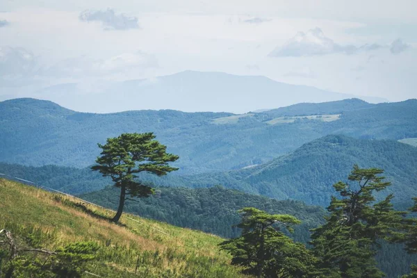 Krásná horská scenérie krajiny plné zelených stromů a dalších rostlin — Stock fotografie