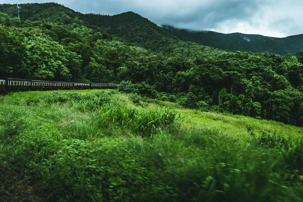 A beautiful view of a train travelling in a green mountainous forest