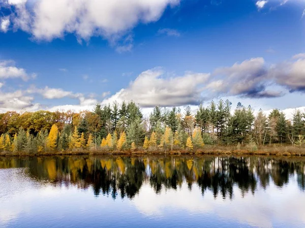 Beautiful shot of the water reflecting the trees on the shore under a blue cloudy sky — Stock Photo, Image