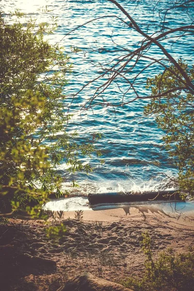 Um belo lago cercado por árvores verdes com raios de sol brilhantes refletidos na água — Fotografia de Stock