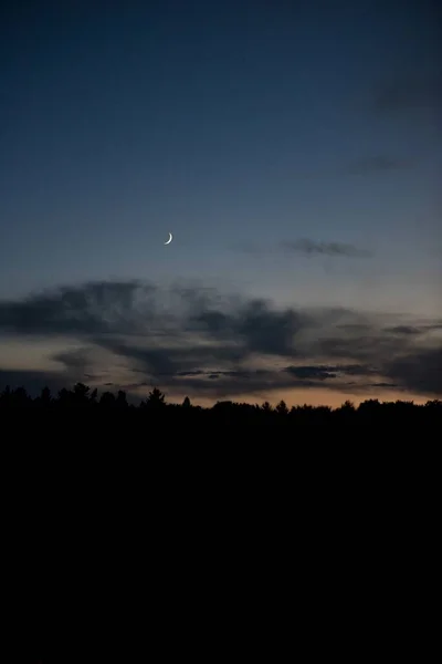 Silueta de árboles con luna visible en el cielo azul oscuro por la noche —  Fotos de Stock