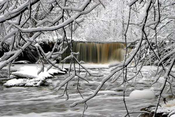 Tiro idílico de uma cachoeira congelada que flui para um lago congelado com árvores cobertas de neve — Fotografia de Stock