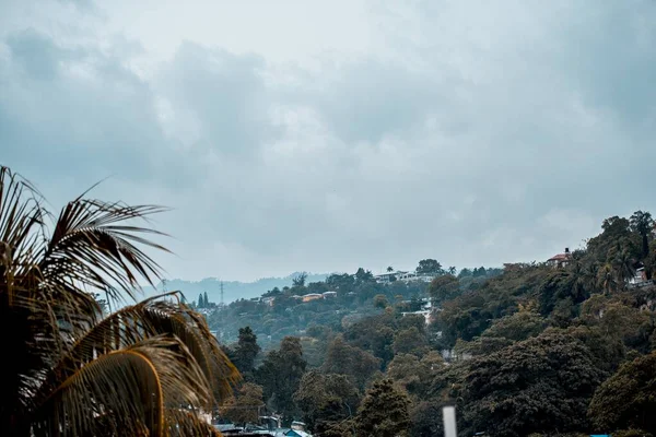 Hermoso plano de casas en la colina en medio de árboles bajo un cielo nublado —  Fotos de Stock