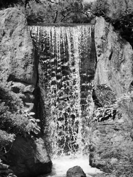 Vertikale Graustufenaufnahme eines von Pflanzen umgebenen Wasserfalls in einem Park — Stockfoto