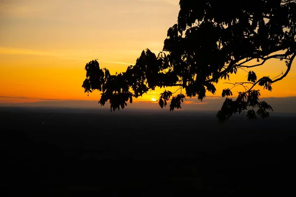 Krásná Scenérie Úchvatného Západu Slunce Poušti Silueta Stromů — Stock fotografie
