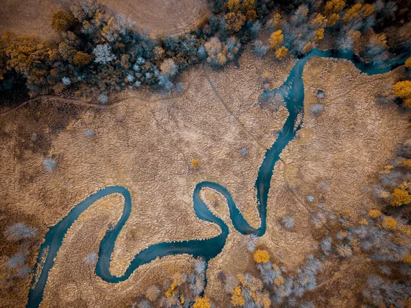 Vue aérienne d'une rivière au milieu d'un champ herbeux sec avec des arbres parfaits pour le fond — Photo