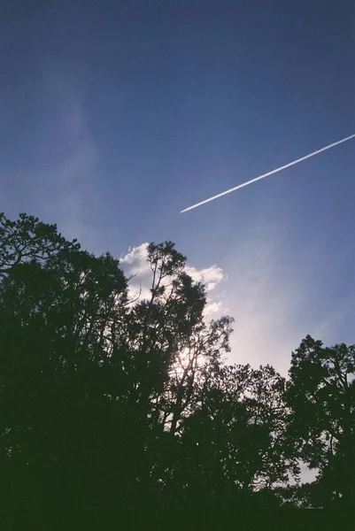 Imagen de silueta vertical de un hermoso árbol con nubes blancas y un rastro de motor en el fondo —  Fotos de Stock