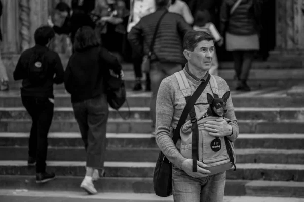 Bergamo Itálie 2019 Lidé Věci Zvířata Ulici — Stock fotografie