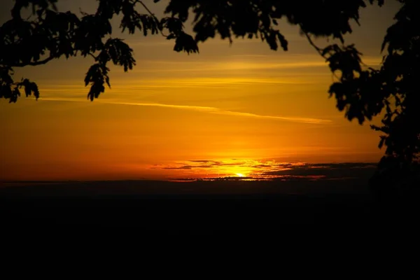 Piękna Sceneria Zapierającego Dech Piersiach Zachodu Słońca Pustyni Sylwetka Drzew — Zdjęcie stockowe