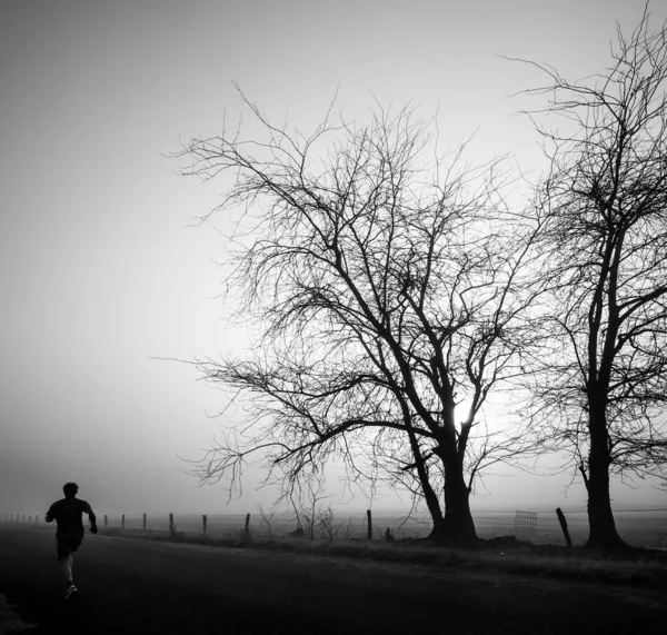 霧の中を歩く男の神秘的なグレースケールのショット恐ろしいフィールド — ストック写真