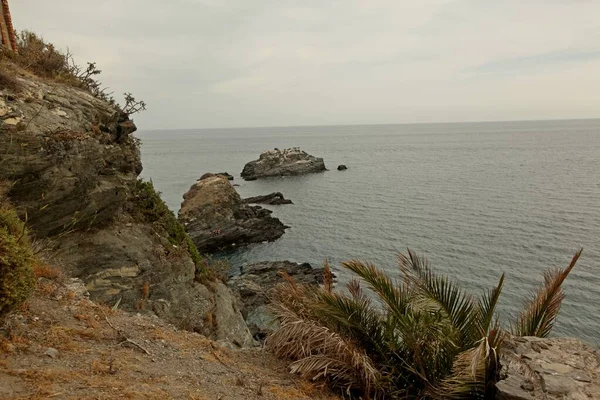 Schöne meerküste mit verschiedenen pflanzen in spanien, almunecar, cliff san cristobal — Stockfoto