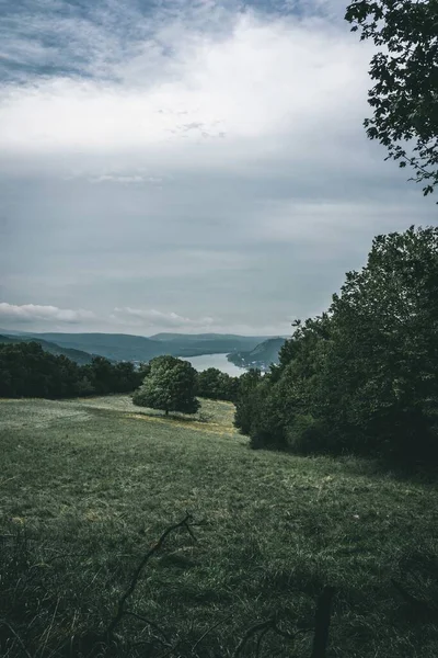 Pionowe ujęcie zielonego pola w godzinach wieczornych pod pochmurnym niebem — Zdjęcie stockowe