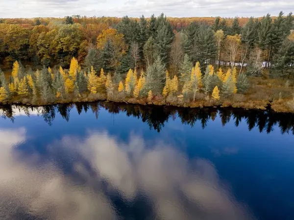Vue aérienne d'un étang entouré d'arbres verts et jaunes sous un ciel bleu nuageux — Photo