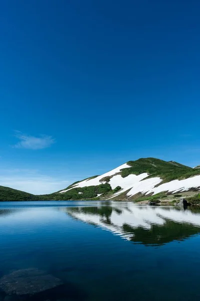 Vertical Shot Snowy Forested Mountain Water Blue Sky Background — ストック写真