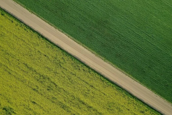 Vue Aérienne Grand Champ Agricole Avec Une Route Étroite Milieu — Photo