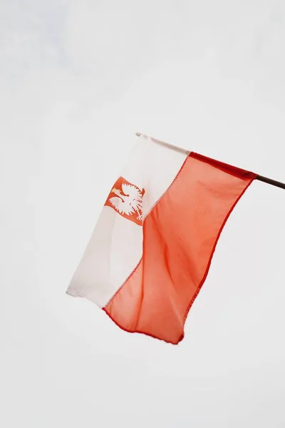 Primer Plano Vertical Bandera Ondeante Polonia Con Fondo Blanco — Foto de Stock