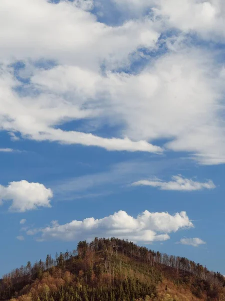 Pico Montanha Cheia Árvores Com Céu Nublado Fundo — Fotografia de Stock