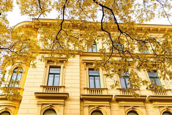Sonbaharda Binanın Yanında Sarı Yapraklı Bir Ağacın Alçak Açılı Görüntüsü — Stok fotoğraf