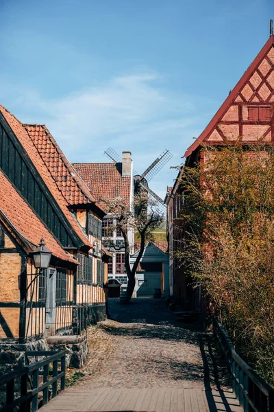Egy Függőleges Felvétel Gyönyörű Házak Járdán Rögzített Den Gamle Aarhus — Stock Fotó