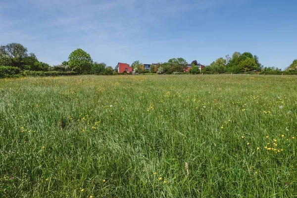 Grön Jordbruksmark Med Hel Del Vackra Träd Och Hus Bakgrunden — Stockfoto