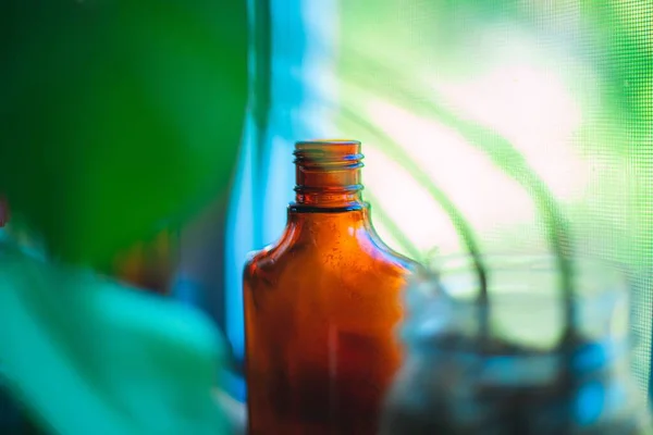 Een Bruine Fles Met Groene Wazige Planten — Stockfoto