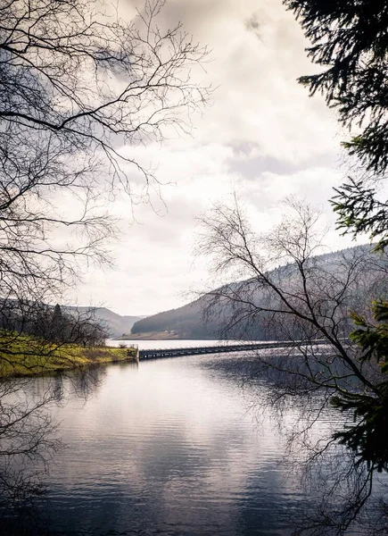 穏やかな湖の表面に木々や丘の反射の垂直ショット — ストック写真