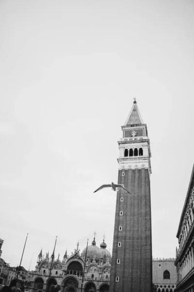 Een Verticale Grijswaarden Foto Van Piazza San Marco Met Een — Stockfoto