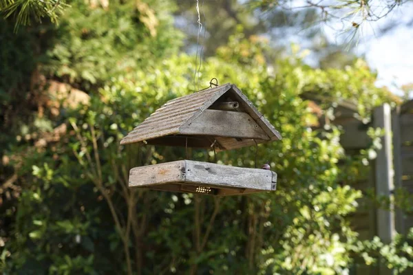 Plan Sélectif Nichoir Bois Accroché Une Branche Arbre — Photo