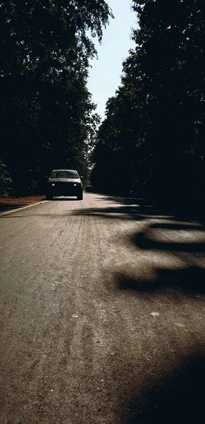 Tiro Vertical Uma Estrada Cercada Por Árvores Com Carros Durante — Fotografia de Stock