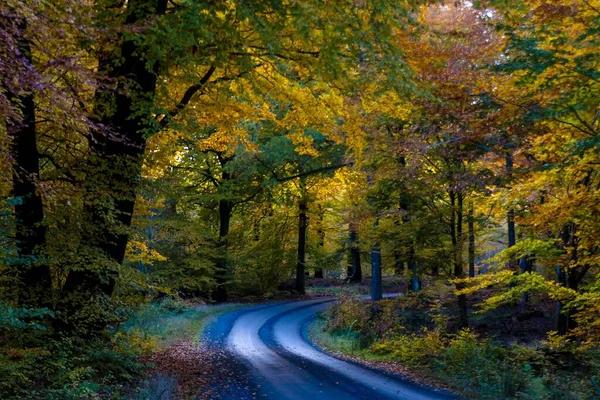 Weg Door Een Herfstlandschap Met Kleurrijk Gebladerte Het Sdersens National — Stockfoto